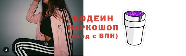 мдпв Верея