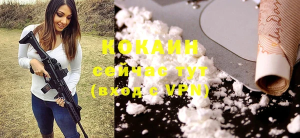 винт Бородино