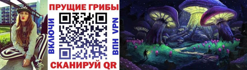 кракен ONION  Гаврилов-Ям  Псилоцибиновые грибы GOLDEN TEACHER 